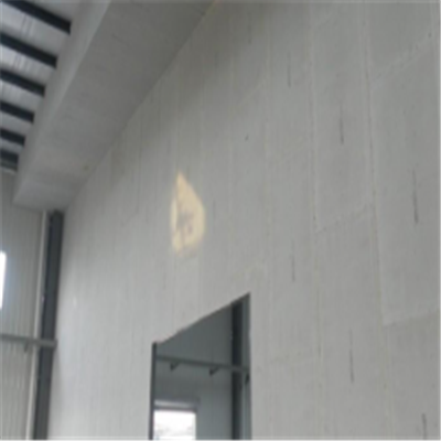 瑞昌新型建筑材料掺多种工业废渣的ALC|ACC|FPS模块板材轻质隔墙板